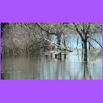Picnic Tables Under Water.jpg